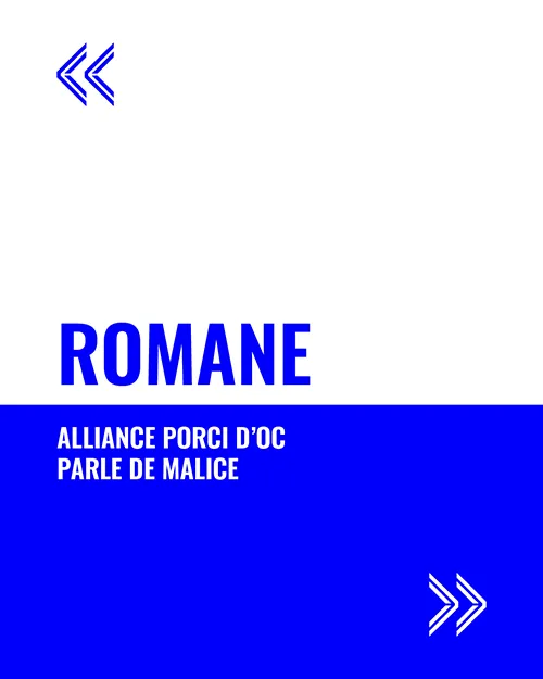 temoignage-romane (2)