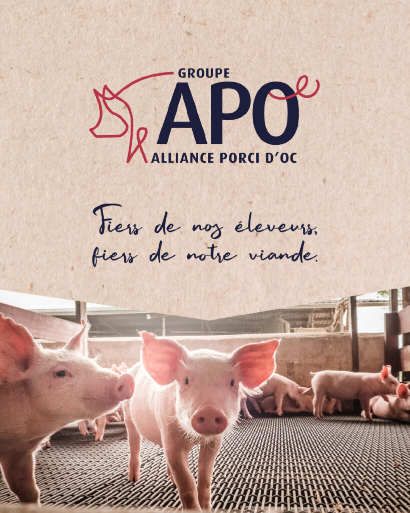 Agence Malice x Alliance Porci d'oc - Accompagnement stratégie de communication