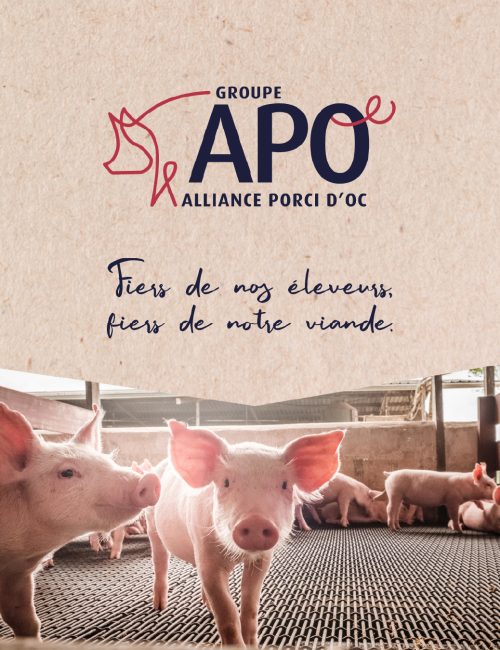 Agence Malice x Alliance Porci d'oc - Accompagnement stratégie de communication