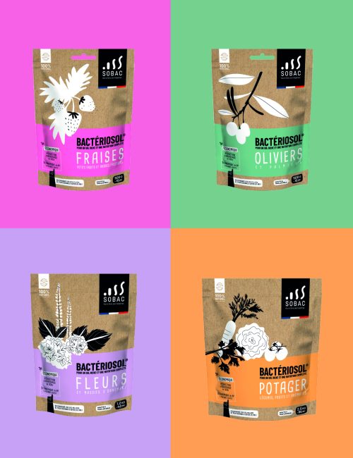 Travail d'un packaging - Charte graphique et univers visuel conçus à Rodez en Aveyron par Malice